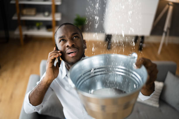 Best 24/7 water damage repair  in Wildwood, MO